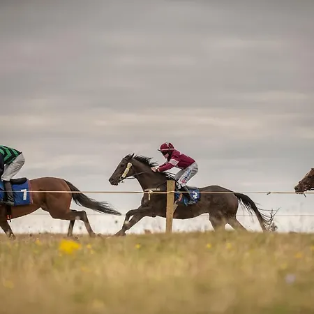 Beachcomber * באליקונילי
