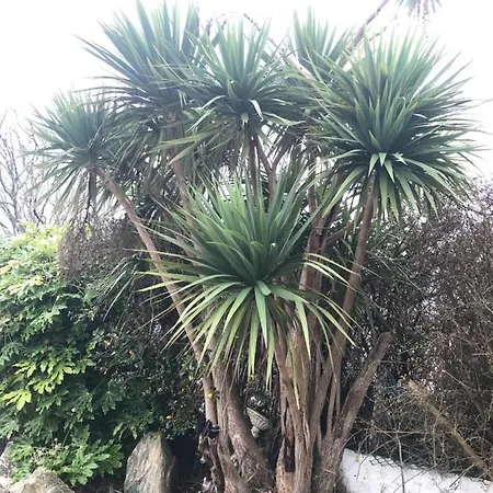 Beachcomber Vakantiehuis