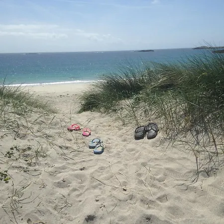 Beachcomber * באליקונילי