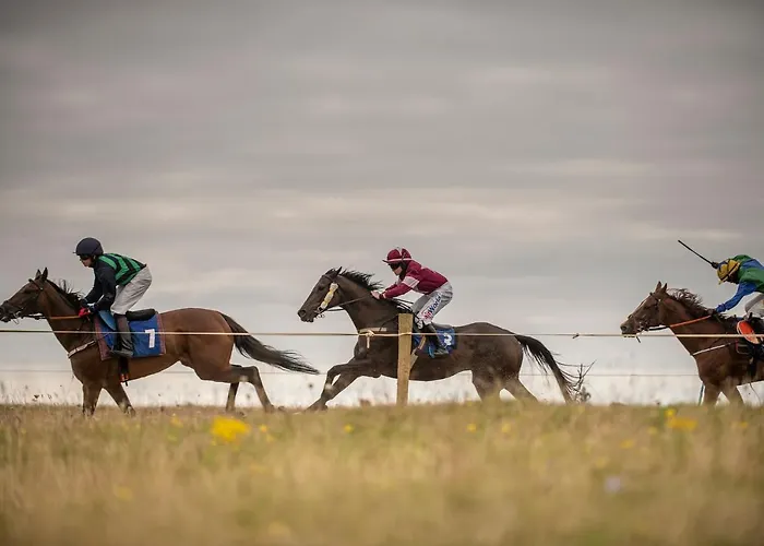 Beachcomber * Ballyconneely