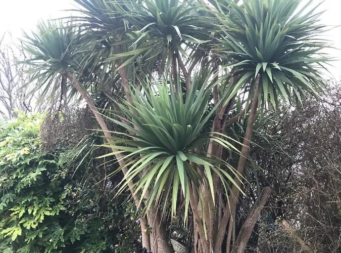 Beachcomber Tatil Evi