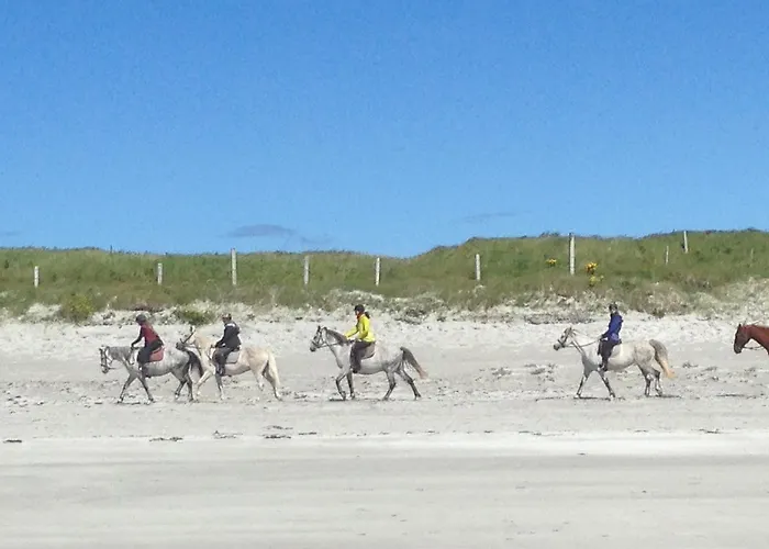 Holiday home Beachcomber *